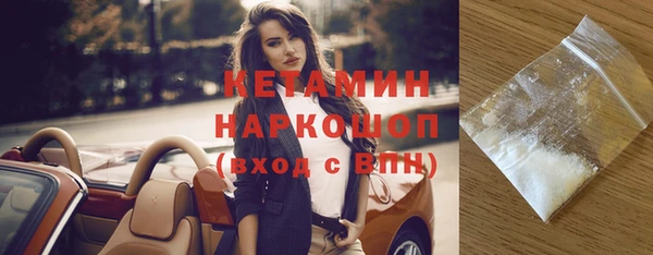 шишки Бородино