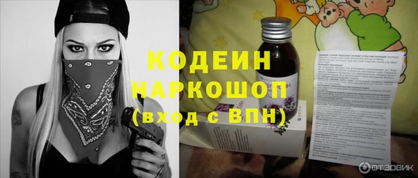 шишки Бородино
