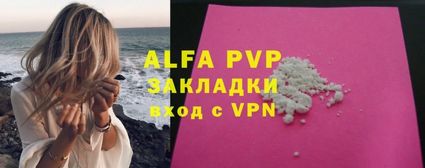 стафф Арсеньев