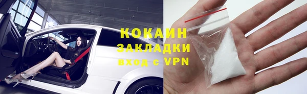 шишки Бородино