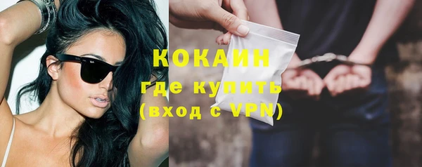 шишки Бородино
