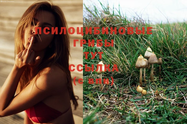 прущая мука Бронницы