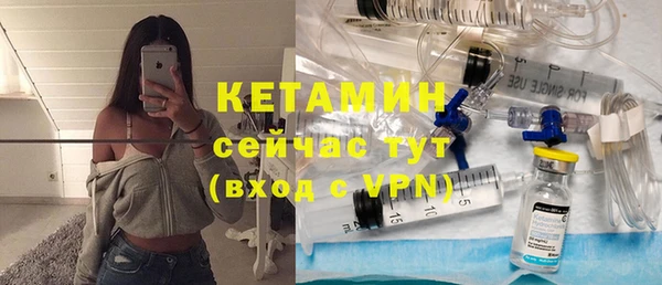 шишки Бородино