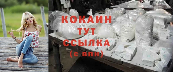 стафф Арсеньев