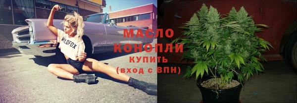 шишки Бородино